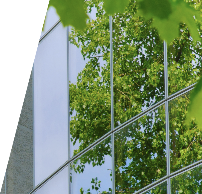 Mask Group 1 (2) The image shows a building facade with glass windows reflecting green tree leaves. A tree branch with foliage is partially visible in the foreground, adding a touch of nature to the scene that might benefit from professional commercial cleaning services.