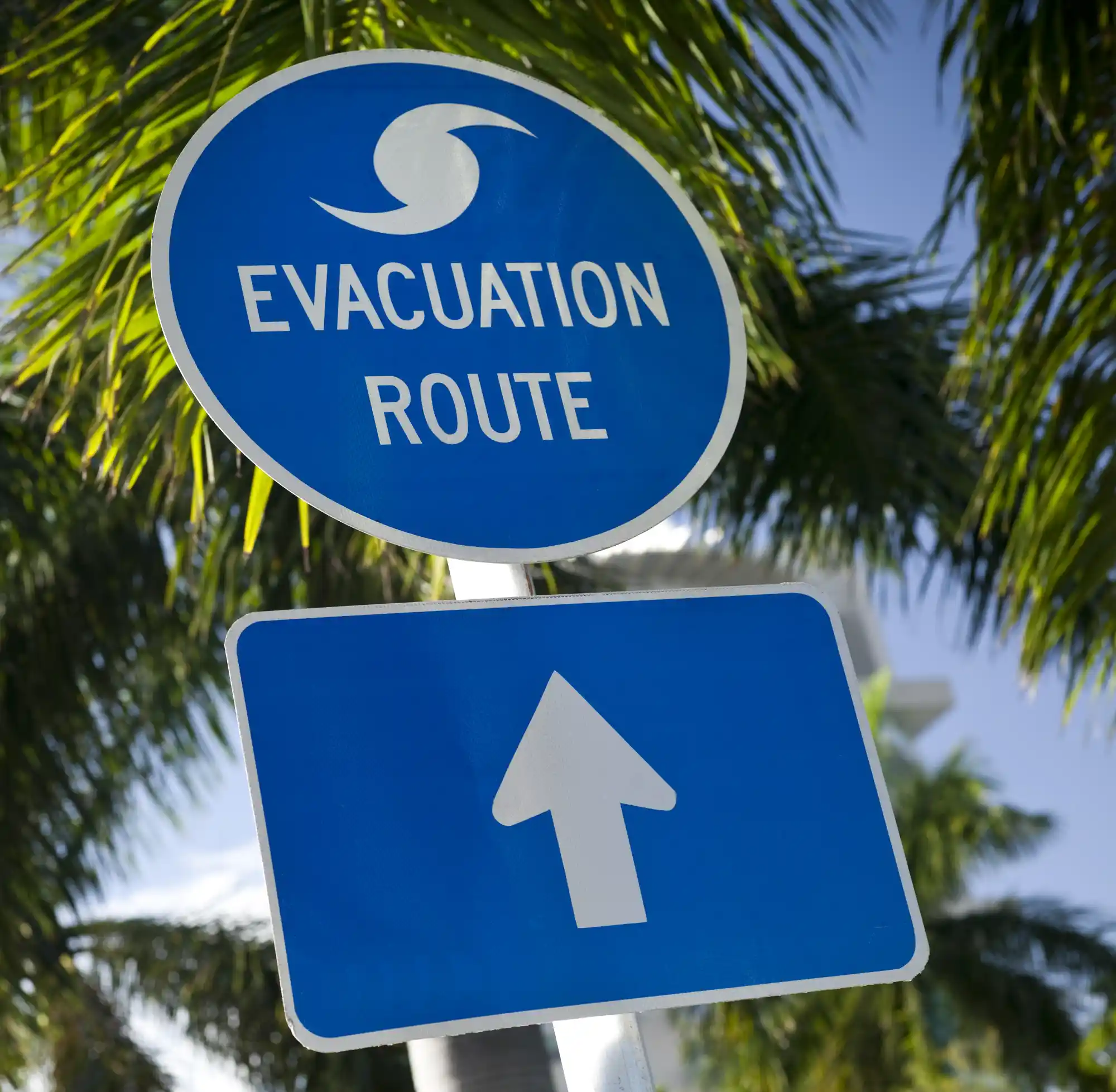 Blue "Evacuation Route" sign with a hurricane symbol and an arrow pointing straight ahead.
