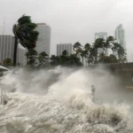 Waves crash against a seawall as strong winds bend palm trees in a city during a storm.
