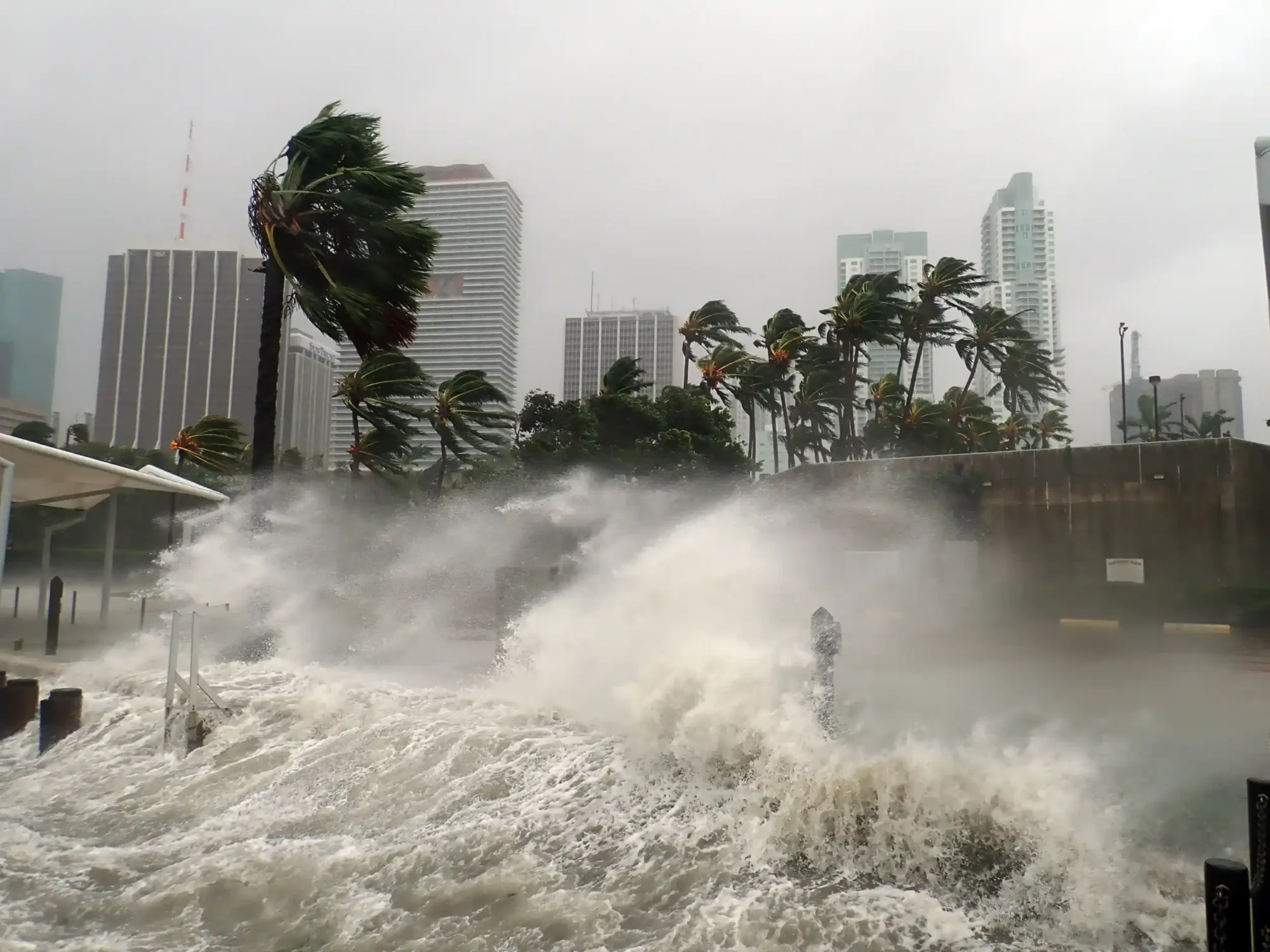 Waves crash against a seawall as strong winds bend palm trees in a city during a storm.